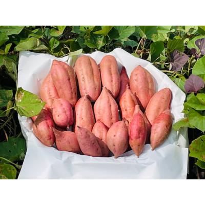 ふるさと納税 中種子町 種子島産 安納芋 3kg