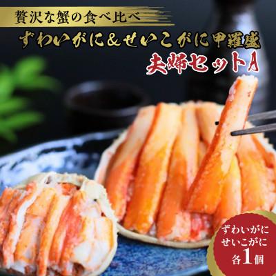 ふるさと納税 京丹後市 [先行予約]☆蟹の宝石箱☆[贅沢なカニの食べ比べ]ずわいがに&amp;せいこがに甲羅盛 夫婦セットA