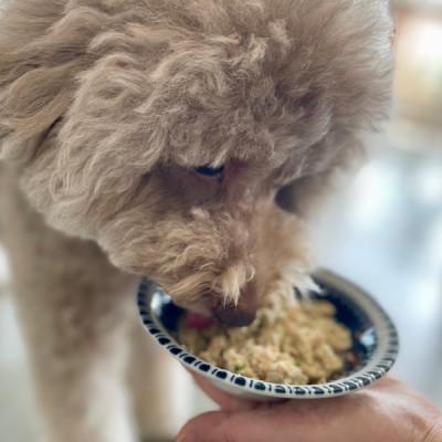 ふるさと納税 郡山市 ワンズバーグ 豚・鶏・馬<犬用おやつ>3種SETの画像