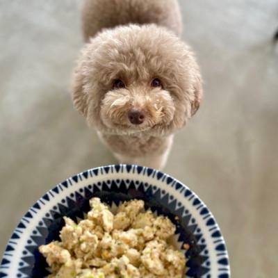 ふるさと納税 郡山市 ワンズバーグ 豚・鶏・馬<犬用おやつ>3種SETの画像