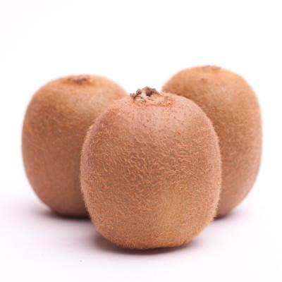 ふるさと納税 有田川町 \u003c11月より発送\u003e厳選キウイフルーツ2.5kg+250g(傷み補償分)_1