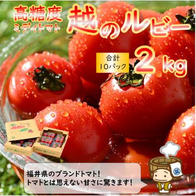 ふるさと納税 あわら市 [先行予約]ミディトマト 越のルビー 約2kg 10パック(8パック+品質補償2パック)