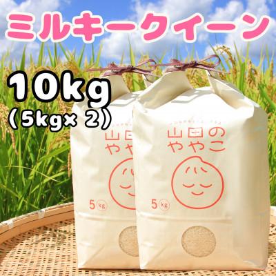 ふるさと納税 河内町 令和5年産『山田のややこ』ミルキークイーン(精米)10kg(5kg×2袋)