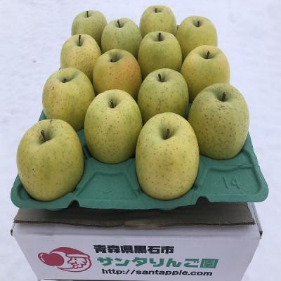 ふるさと納税 黒石市 甘い青りんごの定番 青森県産 王林 贈答用 約5キロ 農家直送