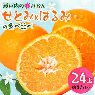 ふるさと納税 柳井市 せとみ&amp;はるみの食べ比べ