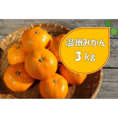 ふるさと納税 南伊豆町 湯の花の温州みかん3kg