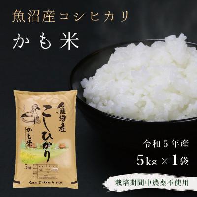 ふるさと納税 津南町 魚沼産コシヒカリ「かも米」5kg 栽培期間中農薬不使用(令和5年産)