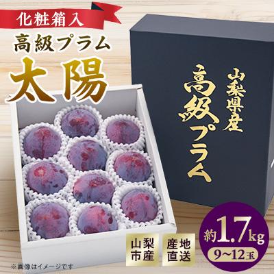 ふるさと納税 山梨市 2026年 先行受付山梨市産プラム 太陽 約1.7kg(9〜12玉)