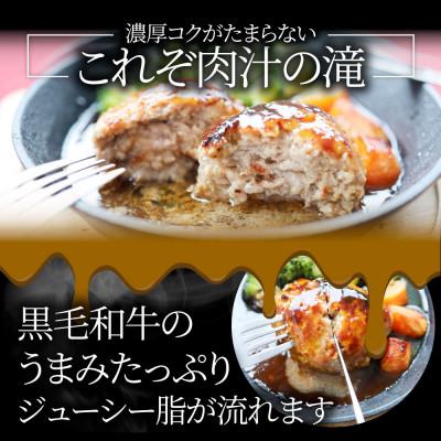 ふるさと納税 三木町 黒毛和牛&オリーブ豚入り生ハンバーグ 特製ソース付 150g×6個セット｜y-sf｜03