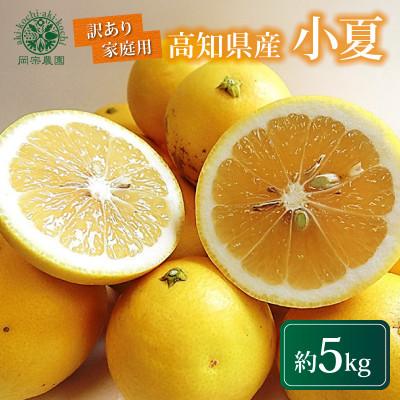 ふるさと納税 安芸市 メリーガーデンの小夏 ワケありご家庭用 5kg