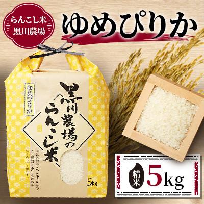 ふるさと納税 蘭越町 <令和7年産>らんこし米 黒川農場 精米 ゆめぴりか 5kg