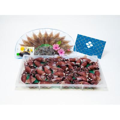 ふるさと納税 滑川市 カネツル砂子商店 ほたるいか ボイル&amp;刺身・素干しセット