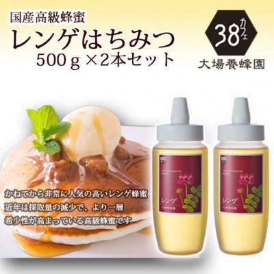 ふるさと納税 富山市 富山県産レンゲ蜂蜜500g 2本セット