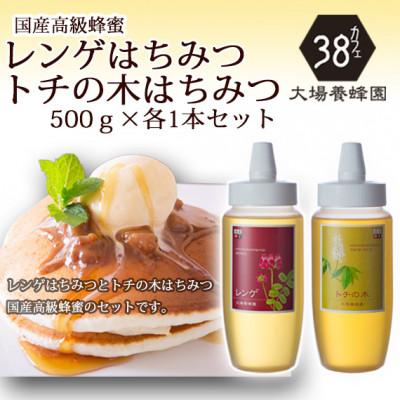 ふるさと納税 富山市 富山県産レンゲ蜂蜜500g×1本・トチの木蜂蜜500g×1本 セット