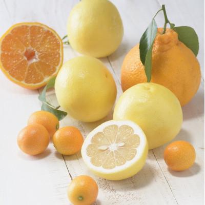 ふるさと納税 鳥栖市 季節の柑橘をお届けします。佐賀産かんきつ2kg(鳥栖市)