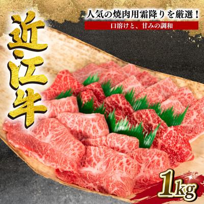 ふるさと納税 竜王町 厳選 近江牛 希少部位 焼肉用 計1kg 500g×2P 小分け 黒毛和牛 滋賀県竜王町