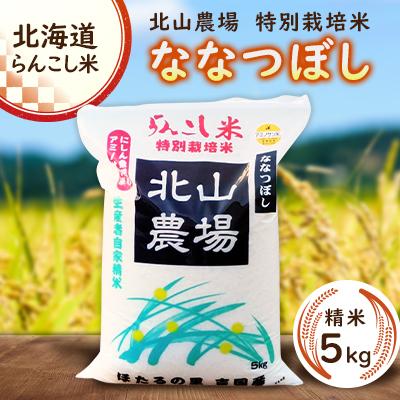 ふるさと納税 蘭越町 らんこし米 [特別栽培米] 北山農場 精米 ななつぼし 5kg