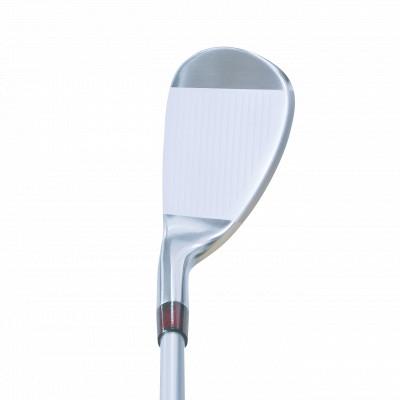 ふるさと納税 富山市 Rex&Regina P.C.IRON #5〜SW(9I)SET(カーボン