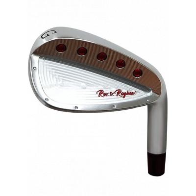 ふるさと納税 富山市 Rex\u0026Regina FORGED IRON GW(フレックスR)_1