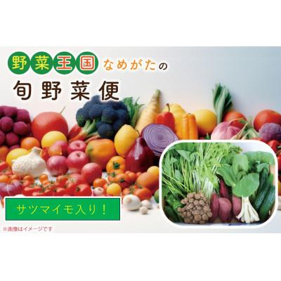 ふるさと納税 行方市 野菜王国なめがたの旬野菜便(さつまいも入り)CU-131