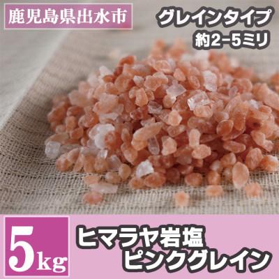 ふるさと納税 出水市 ヒマラヤ岩塩ピンクグレインミルサイズ5kg