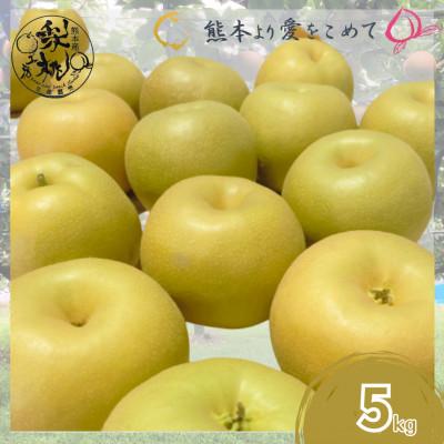 ふるさと納税 錦町 梨 錦町 約5kg 旬の梨 [先行予約!2026年8月中旬〜発送予定][梨桃工房]