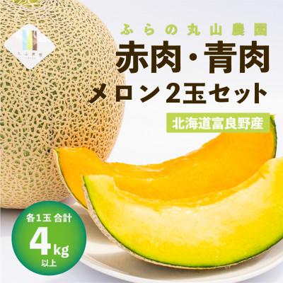 ふるさと納税 富良野市 【2027年発送先行受付】赤肉・青肉メロン 2玉