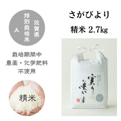 ふるさと納税 佐賀市 「実り咲かす」栽培期間中 農薬・化学肥料不使用 さがびより 精米2.7kg