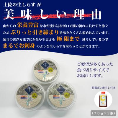 ふるさと納税 安芸市 土佐のお刺身「生しらす」3個セット <しらす出汁を使った特製のポン酢タレ付き>｜y-sf｜02