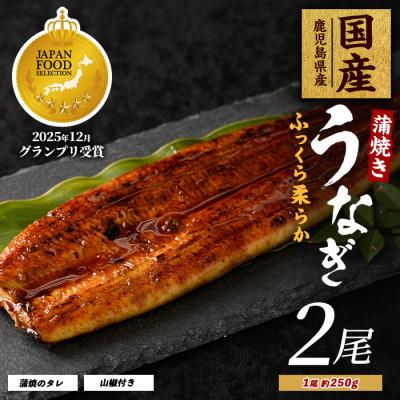 ふるさと納税 指宿市 鹿児島県産うなぎ蒲焼じっくり焼き約250g×2尾 IB021-001