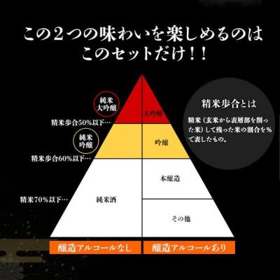 ふるさと納税 富山市 羽根屋 大吟醸 1800ml 