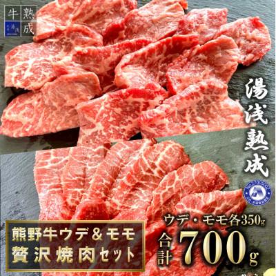 ふるさと納税 湯浅町 湯浅熟成 熊野牛ウデ・モモ贅沢焼肉セット 700g