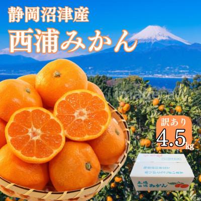 ふるさと納税 沼津市 訳ありみかん (品種おまかせ) 約4.5キロ箱込み 西浦みかん