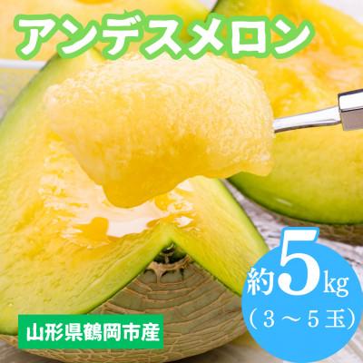 ふるさと納税 鶴岡市 [2026年先行受付]鶴岡産アンデスメロン 3玉〜5玉(約5kg)