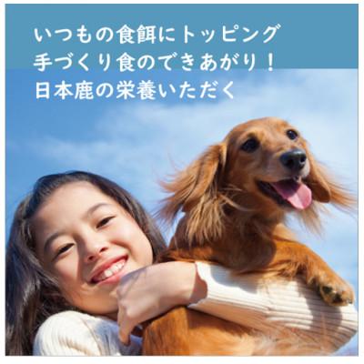 ふるさと納税 丹波市 【鹿の匠 丹波】鹿のおやつ箱 A 4品 犬用・猫用の画像