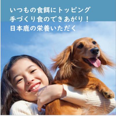 ふるさと納税 丹波市 【鹿の匠 丹波】鹿のおやつ大盛B 8品 犬用・猫用の画像