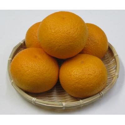 ふるさと納税 土庄町 [小豆島]甘夏柑 約10kg