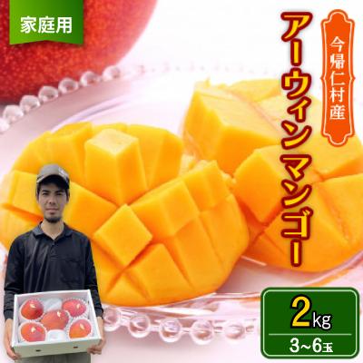 ふるさと納税 今帰仁村 [2026年6月から順次発送・家庭用]仲本マンゴー園のアーウィンマンゴー2kg