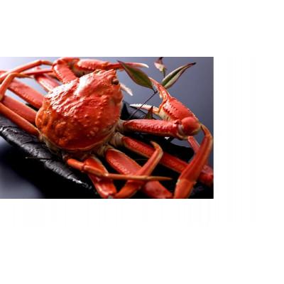 ふるさと納税 京丹後市 [厳選]茹で松葉蟹 L(600g級)×1杯 ★1月〜2月お届け