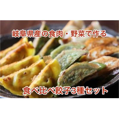 ふるさと納税 本巣市 ぎふ夢餃子3種食べ比べセット(30個) 焼き冷凍