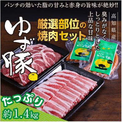 ふるさと納税 芸西村 [高知のブランド豚/ゆず豚]厳選部位の焼肉セット(約1.4kg)