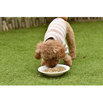 ふるさと納税 玉名市 ドッグフード生粋1.5kg(2袋)の画像