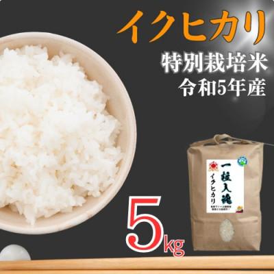 ふるさと納税 若狭町 令和5年福井県産 イクヒカリ精米5kg 特別栽培米