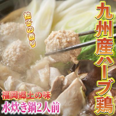 ふるさと納税 大川市 【博多名物】鶏水炊き&もつ鍋2種(醤油味・みそ味)満腹食べくらべ　各2人前(合計6人前)(大川市)_1