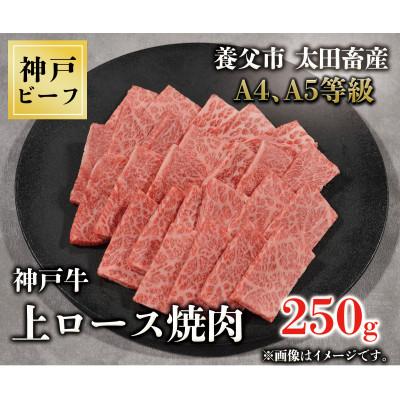 ふるさと納税 養父市 神戸牛 上ロース焼肉 250g