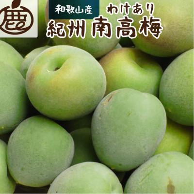 ふるさと納税 広川町 家庭用 紀州南高梅(青梅)2kg+250g(傷み補償分)[梅干し・梅酒・梅ジュースに][訳あり]