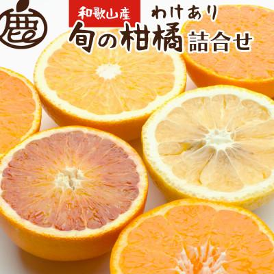 ふるさと納税 湯浅町 &lt;1月より発送&gt;家庭用 柑橘詰合せ4kg+120g(傷み補償分)[訳あり][春みかん][光センサー]