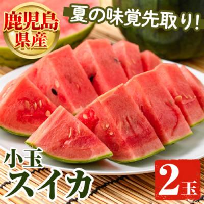 ふるさと納税 阿久根市 [先行受付! 2026年5月中旬より順次発送]小玉すいか 2玉 [松永青果]akn053-06