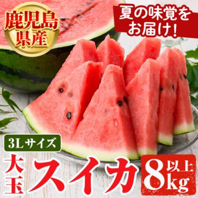 ふるさと納税 阿久根市 [先行受付!2026年7月より順次発送] 大玉すいか 1玉(約8kg)[松永青果]akn053-15