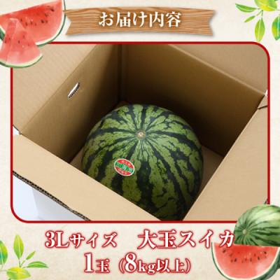 ふるさと納税 阿久根市 【先行受付!2026年7月より順次発送】 大玉